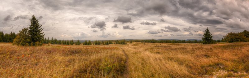 Click to view full screen - Dolly Sods Panorama
