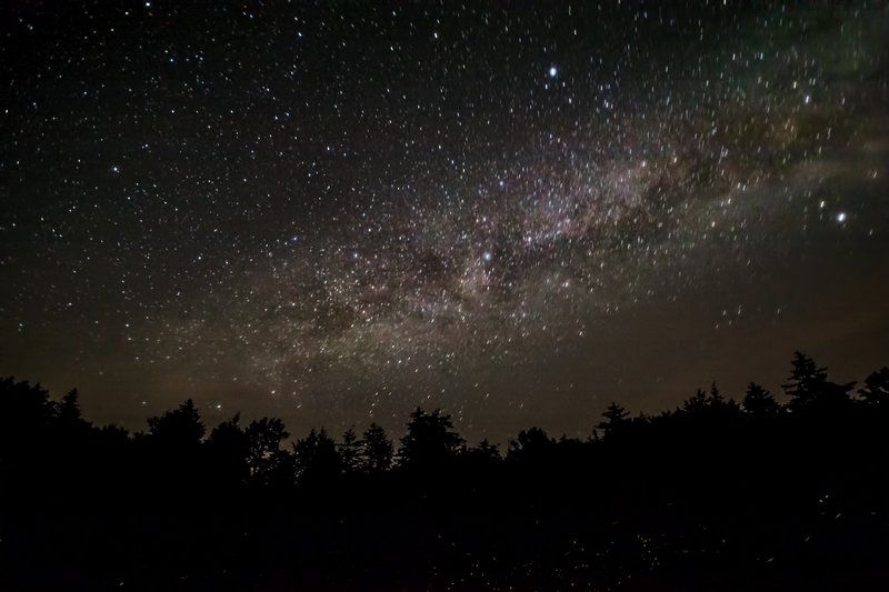Click to view full screen - Milky Way and Fireflies